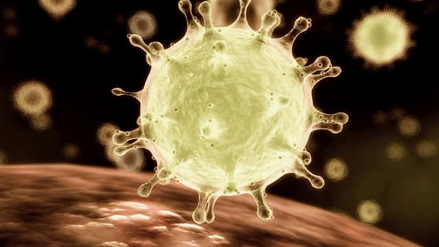 S01:E03 - Coronavirus: Part 1