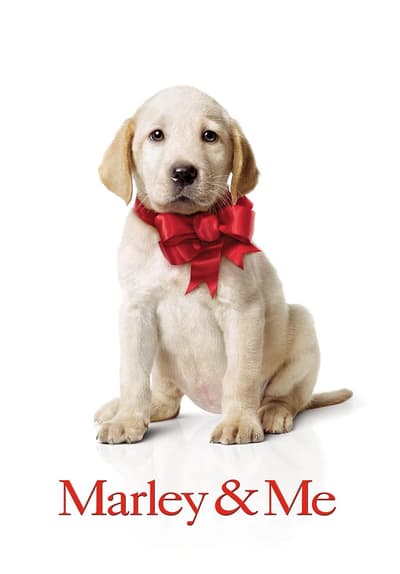 Watch Marley & Me (2008) - Free Movies | Tubi