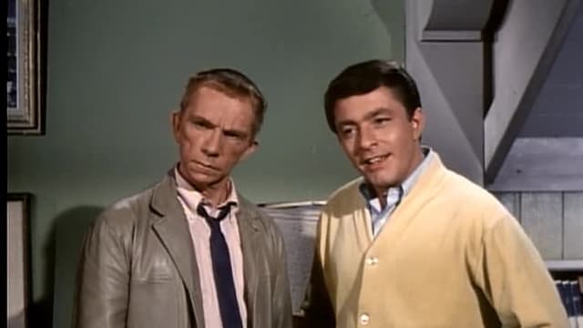 Watch My Favorite Martian Season 3 - Free TV Shows | Tubi