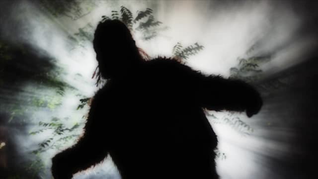 S02:E13 - The Truth About Bigfoot