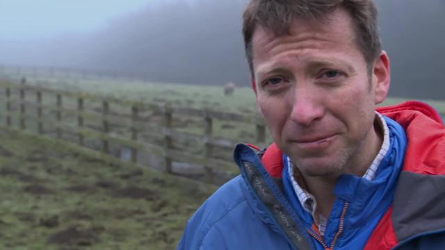 Watch The Yorkshire Vet S02:E08 - Season 2: Episode 8 Free ...