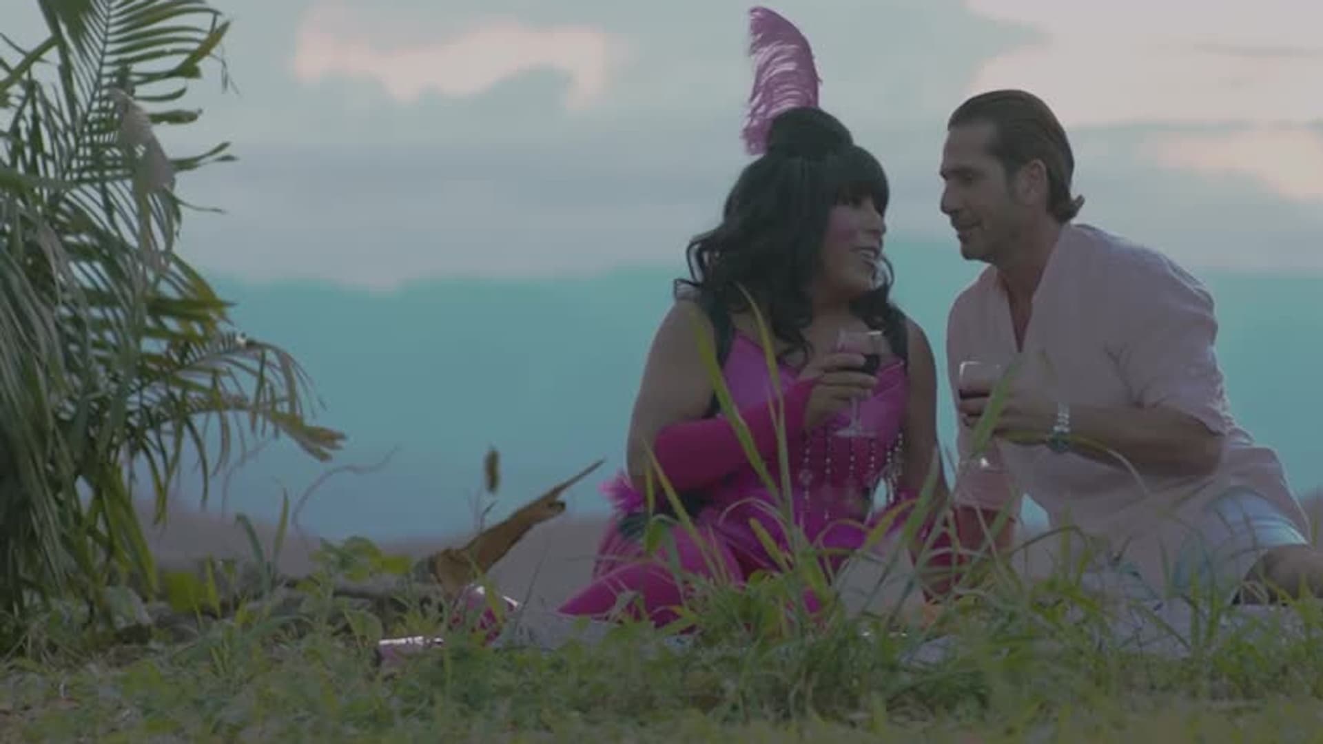 Watch ¿Mi Novia Es Él? (2019) Free Movies Tubi