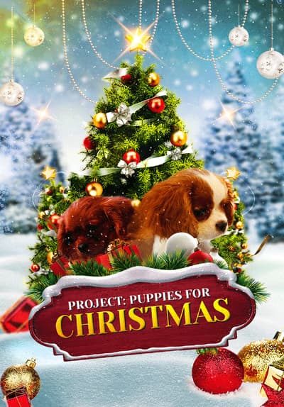 Phim Christmas 2022 Watch Project: Puppies For Christmas (2019) - Free Movies | Tubi