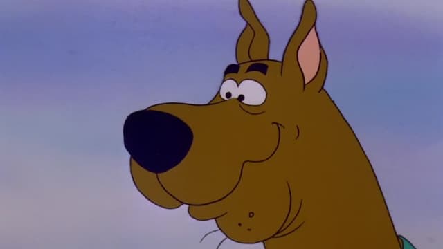 Watch Scooby-Doo and Scrappy-Doo S05:E11 - Scooby Roo/Scooby and the ...