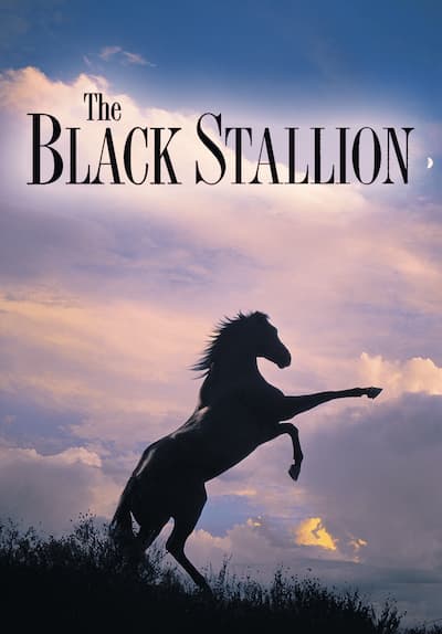 Watch The Black Stallion (1979) Full Movie Free Online Streaming | Tubi