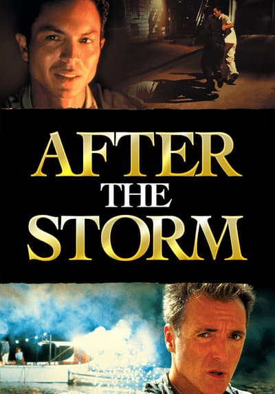 Watch After the Storm (2001) Full Movie Free Online ...