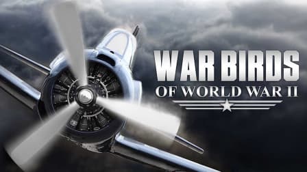 Watch Warbirds of World War II - Free TV Shows