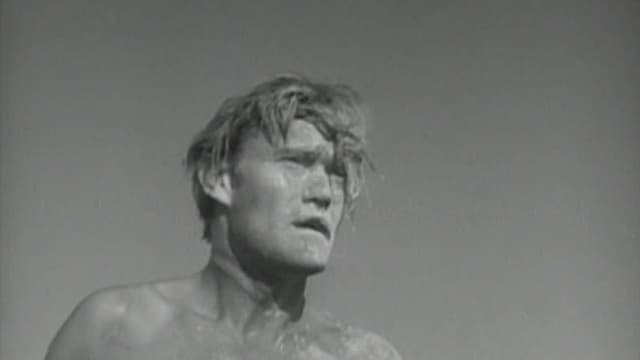 the rifleman the journey back the rifleman the journey back