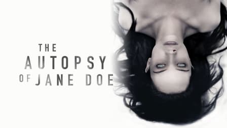 The Autopsy of Jane Doe 2016