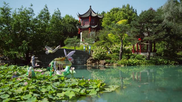 Chinese Garden: Quebec