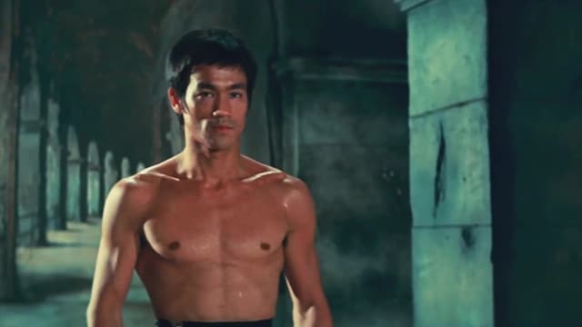 Bruce lee tracking sales the dragon