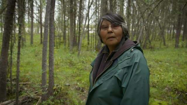 Watch The Last Alaskans S02:E03 - Survival Mode - Free TV Shows | Tubi