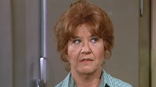 Watch The Facts Of Life S03:E13 - The Americanization Of Miko - Free TV ...