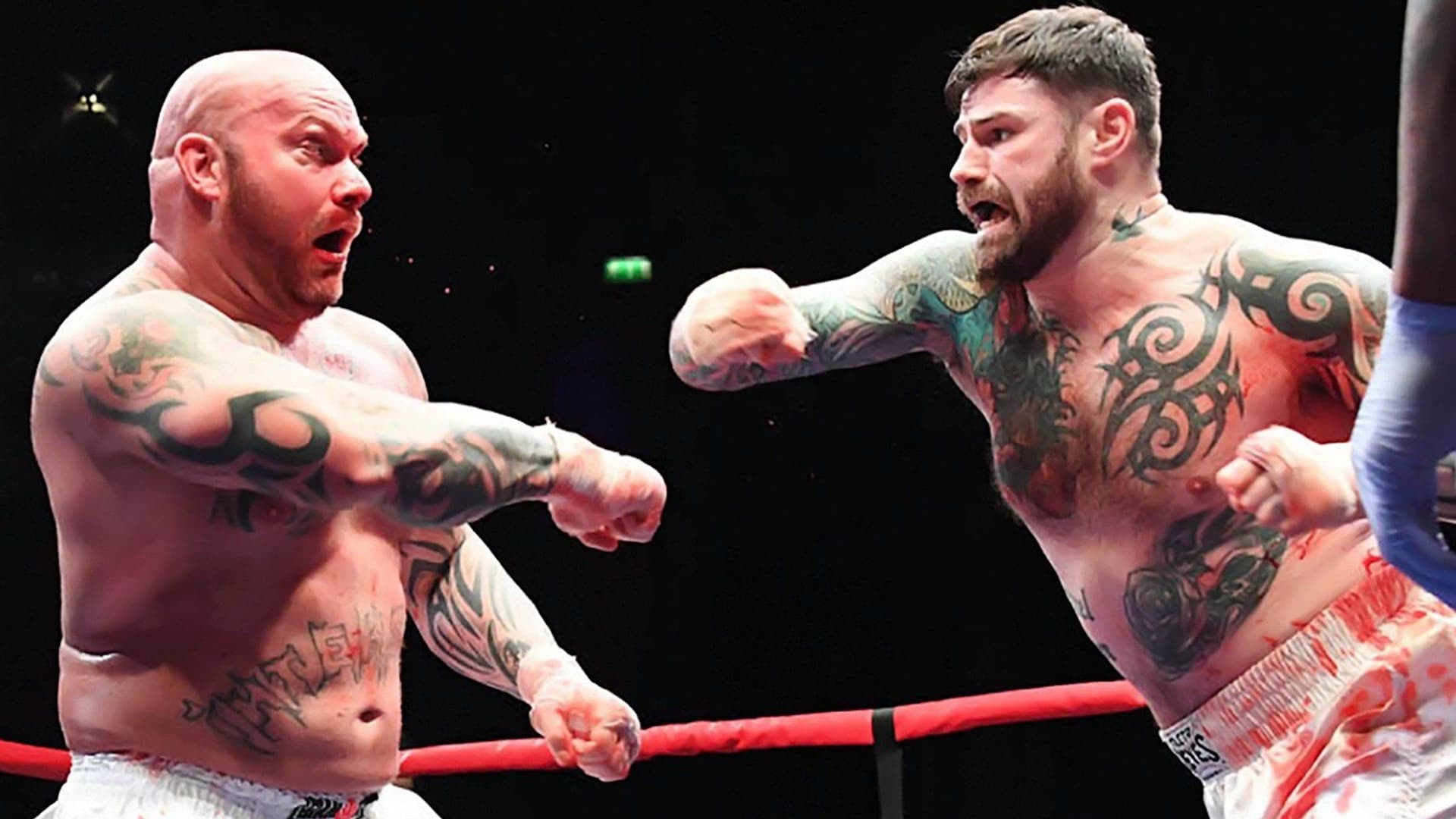 Watch bare knuckle boxing free hot sale