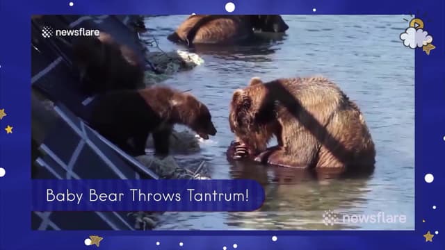 S01:E102 - Baby Bear Throws Tantrum