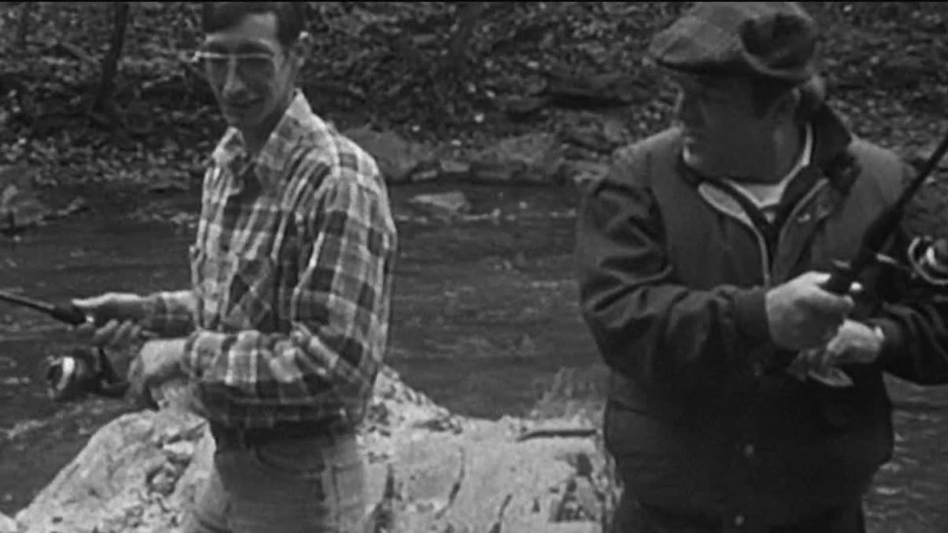 Watch The Blair Witch Project (Español) (1999) - Free Movies | Tubi