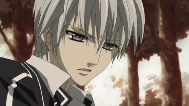 Watch Vampire Knight Free TV Shows Tubi