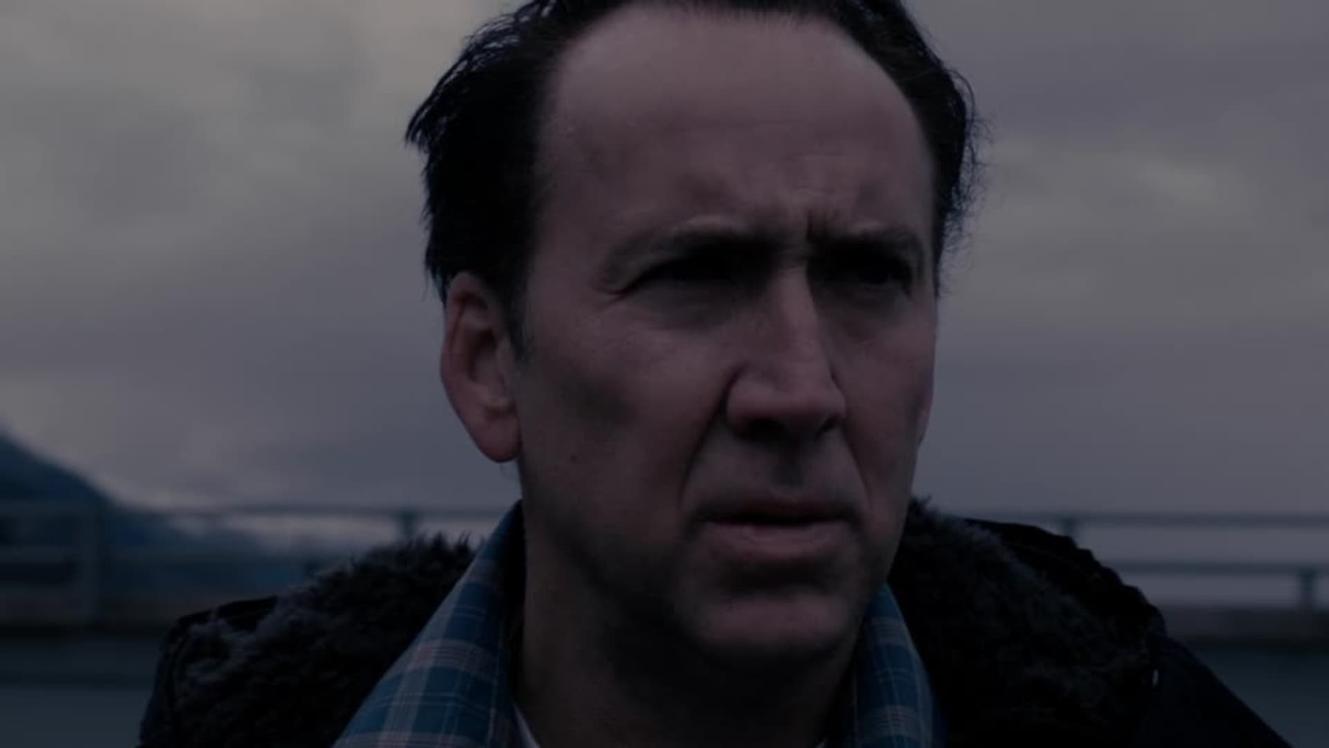 Watch The Frozen Ground Trailer (2013) Free Movies Tubi