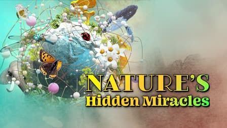 Watch Nature's Hidden Miracles - Free TV Shows | Tubi