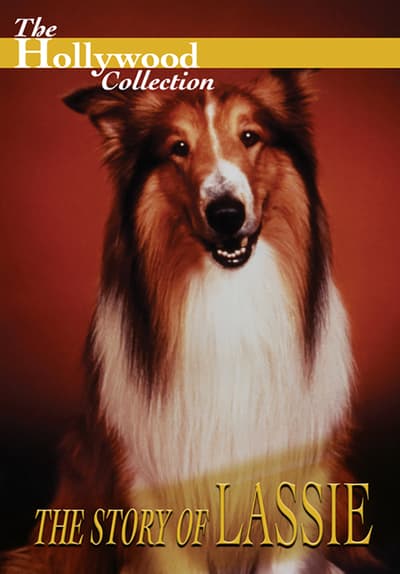 Watch The Hollywood Collection The Story Of Lassie 1 Free Movies Tubi