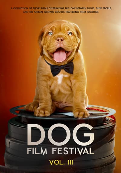 Watch Dog Film Festival Vol. 3 (2020) - Free Movies 