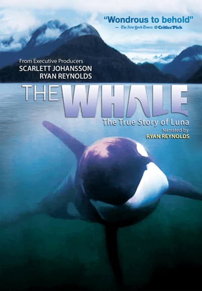 The Lost Whale by Michael Parfit The Lost Whale by Michael Parfit