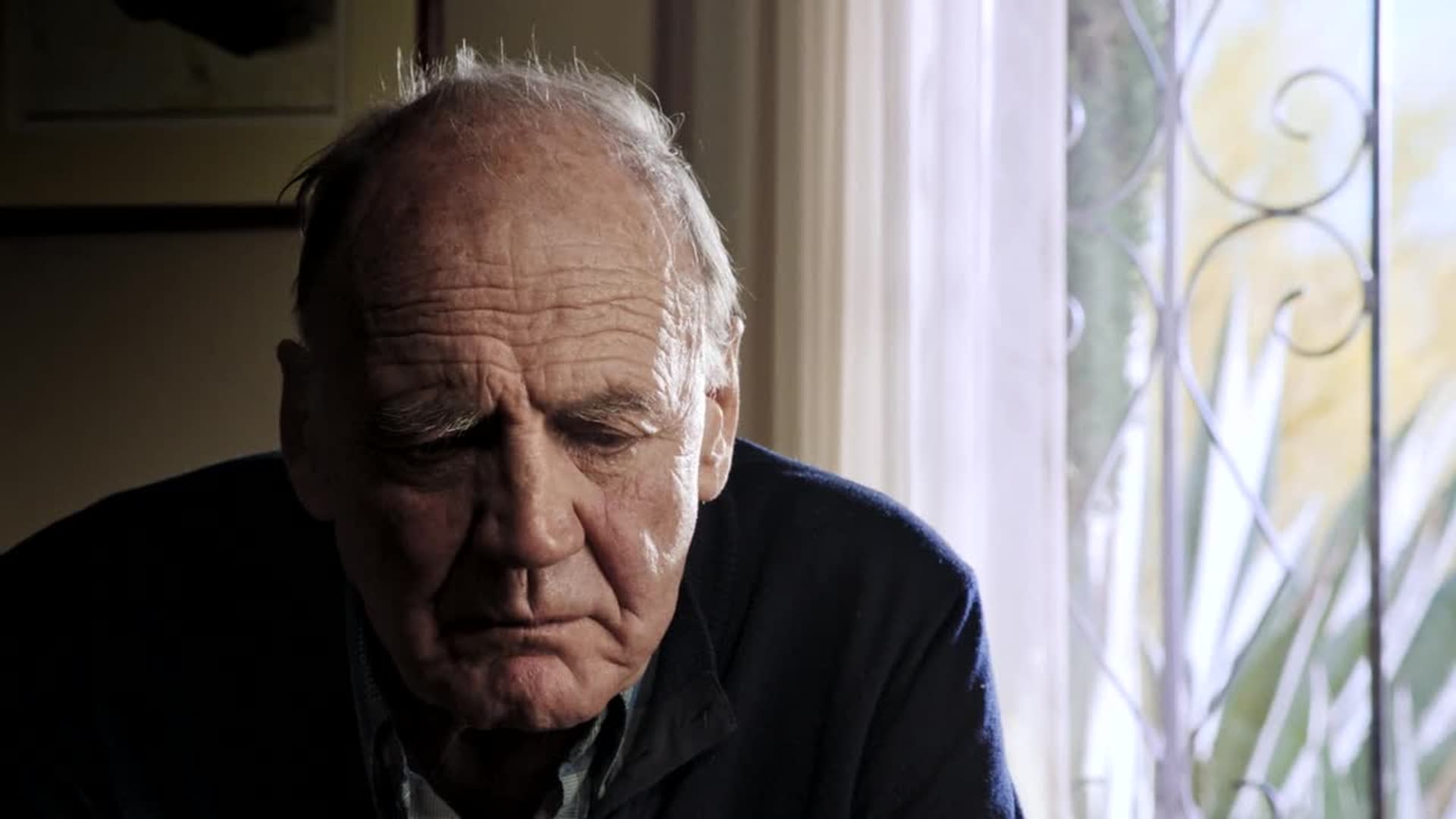 Watch Winter Journey Trailer (2020) Free Movies Tubi