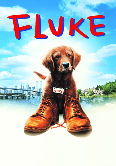 fluke movie