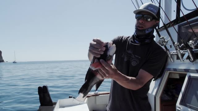 S01:E01 - Spearfishing With Steven Rinella and Janis Putelis