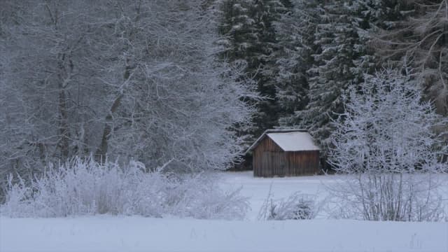 S02:E15 - Christmas Countryside & Holiday Music