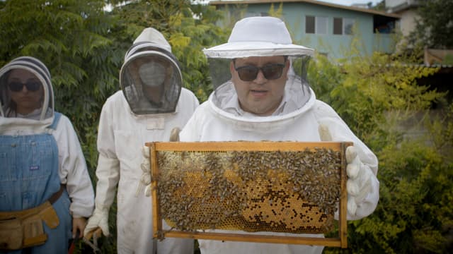 S11:E03 - Beekeepers and Burgers