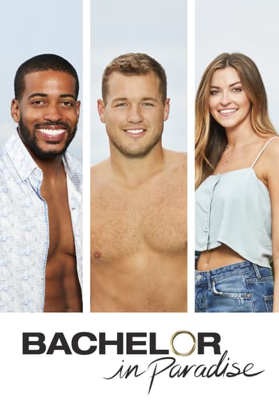Watch Bachelor In Paradise Online Free