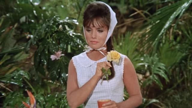 Watch Gilligan's Island S03:e06 - Where There's A Will - Free Tv Shows 