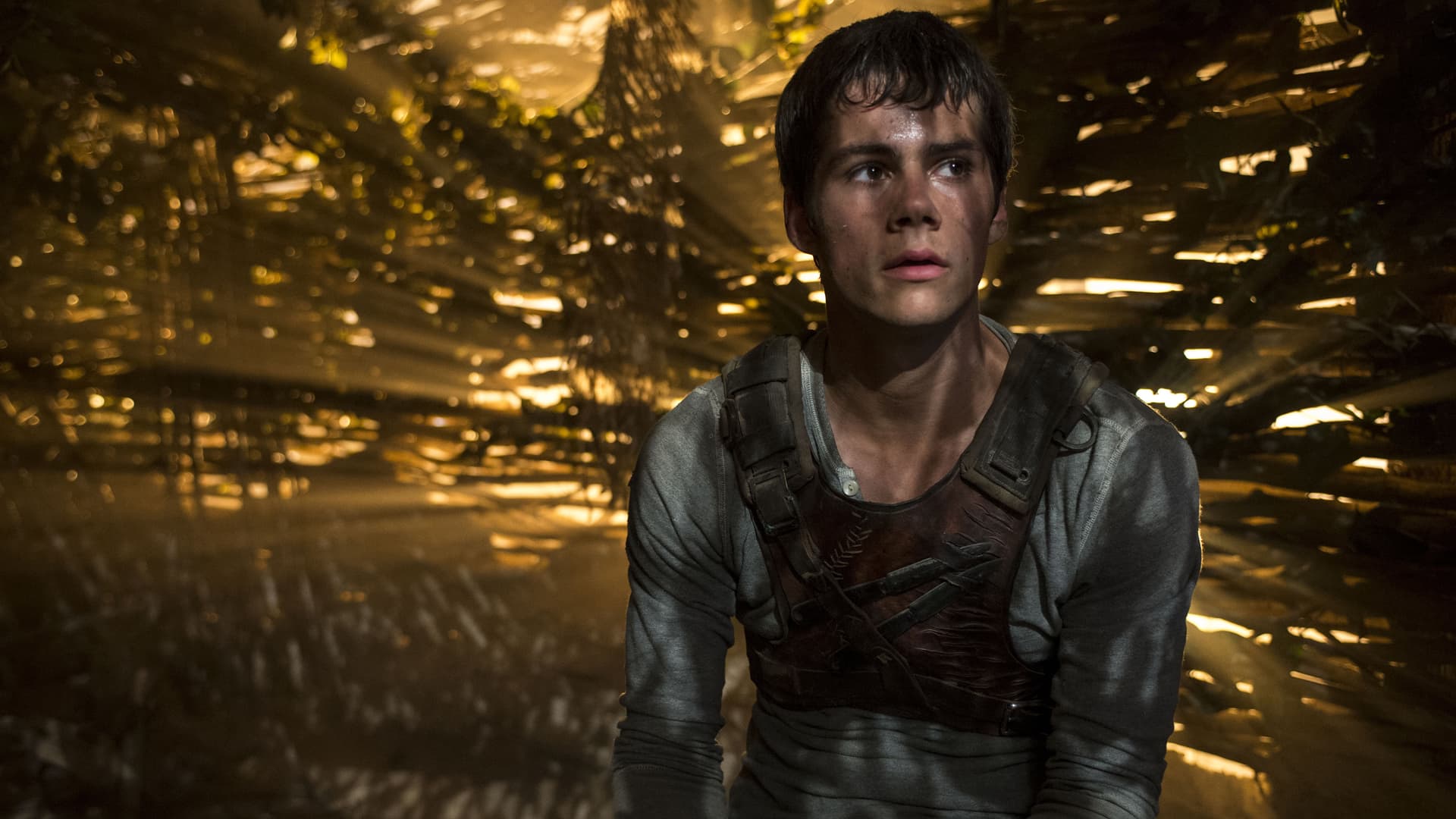 Download The Maze Runner