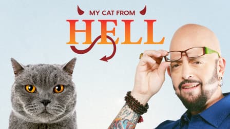 My cat from hell 2024 apply