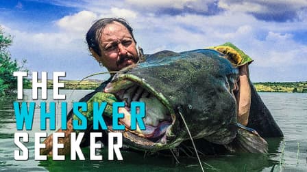 Watch The Whisker Seeker (2017) - Free Movies