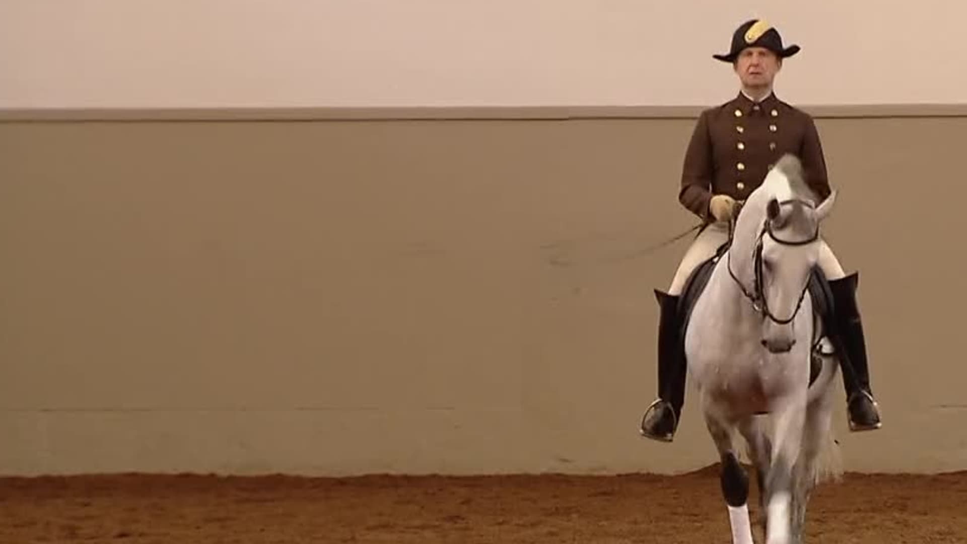 watch-the-spanish-riding-school-elegance-and-traditio-free-movies-tubi