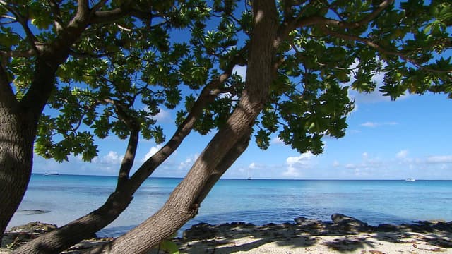 S01:E10 - Polinesia Francesa - Laguna Azul