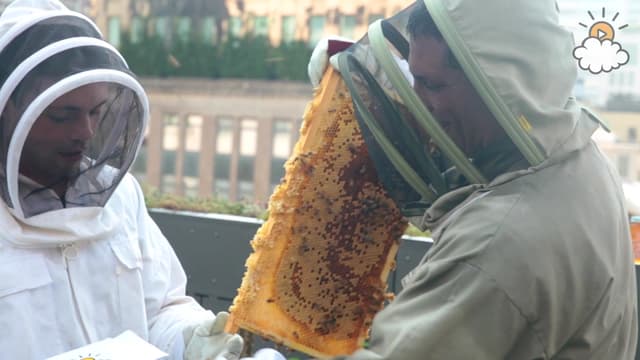 S01:E21 - Harvesting Honey From Bees