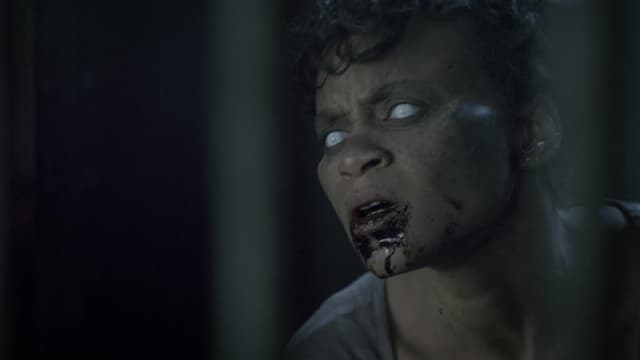 Asylum Seeker: 2013 – Rise Of The Zombies