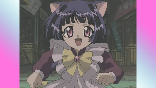 Magical Meow Meow Taruto - Wikipedia