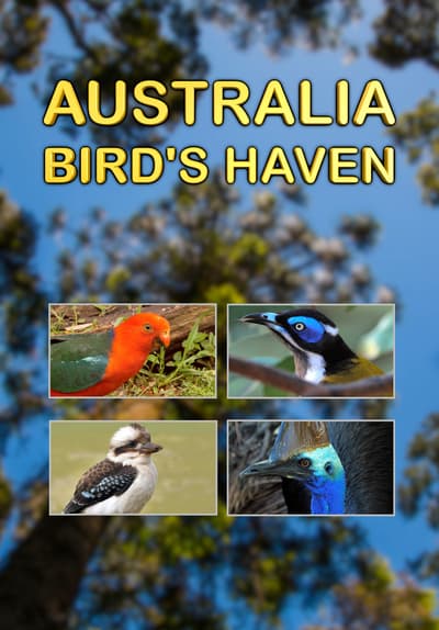 Watch Australia: Bird's Haven (2014) - Free Movies | Tubi