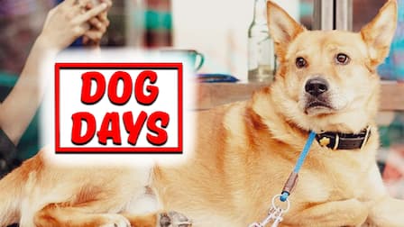 Watch Dog Days season 1 episode 1 streaming online