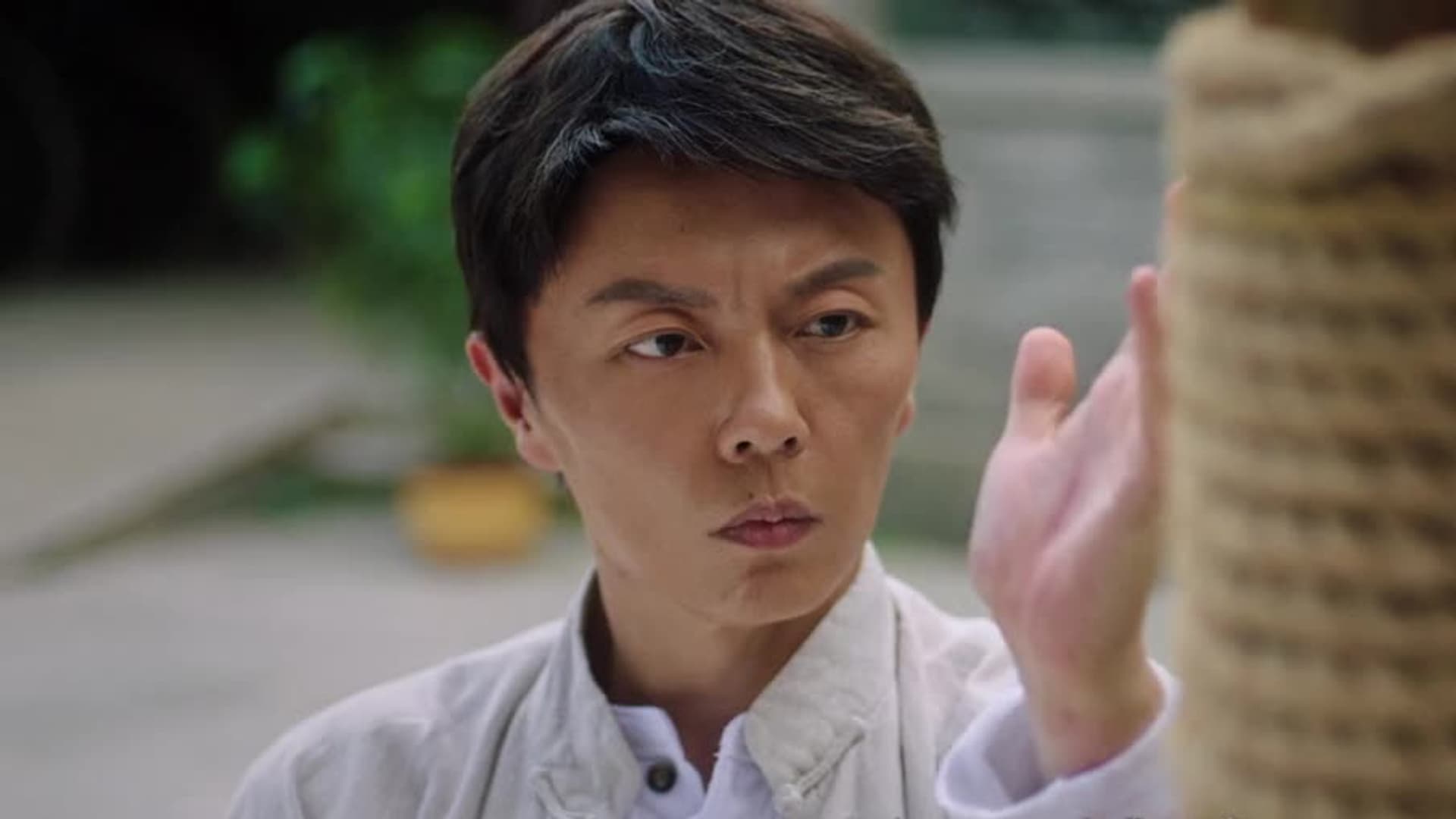 ip man awakening trailer