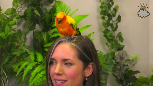S01:E12 - Meet Rosie the Parrot