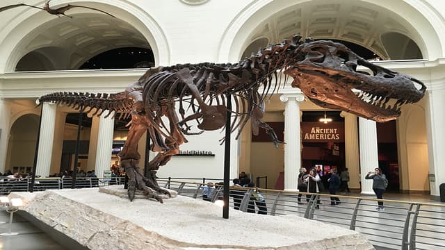 S01:E02 - The Field Museum of Natural History