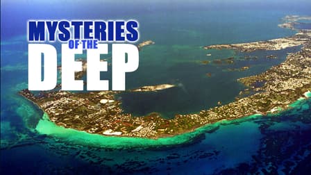 Watch Mysteries of the Deep - Free TV Shows | Tubi