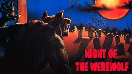 Night of the Werewolf (1981) - Backdrops — The Movie Database (TMDB)