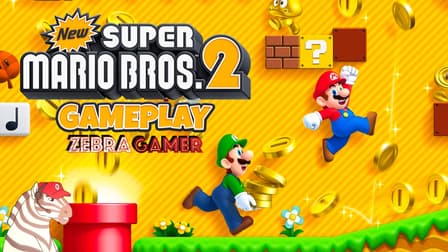 NEW MARIO BROS. 2 free online game on