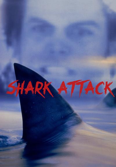 Watch Shark Attack (1999) Full Movie Free Online Streaming | Tubi